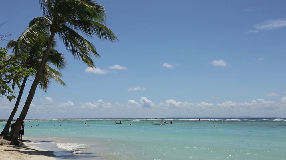 Colours Of Guadeloupe